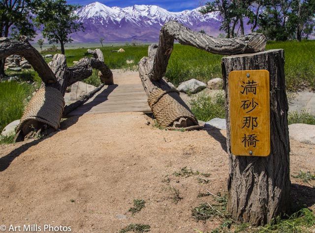 Portal to the World Outside (1 of 1)