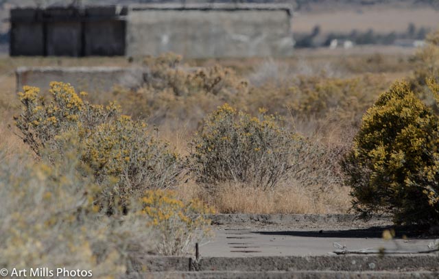 Remnant of Infrastructure