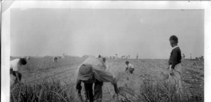 Working in the Field DDR NA